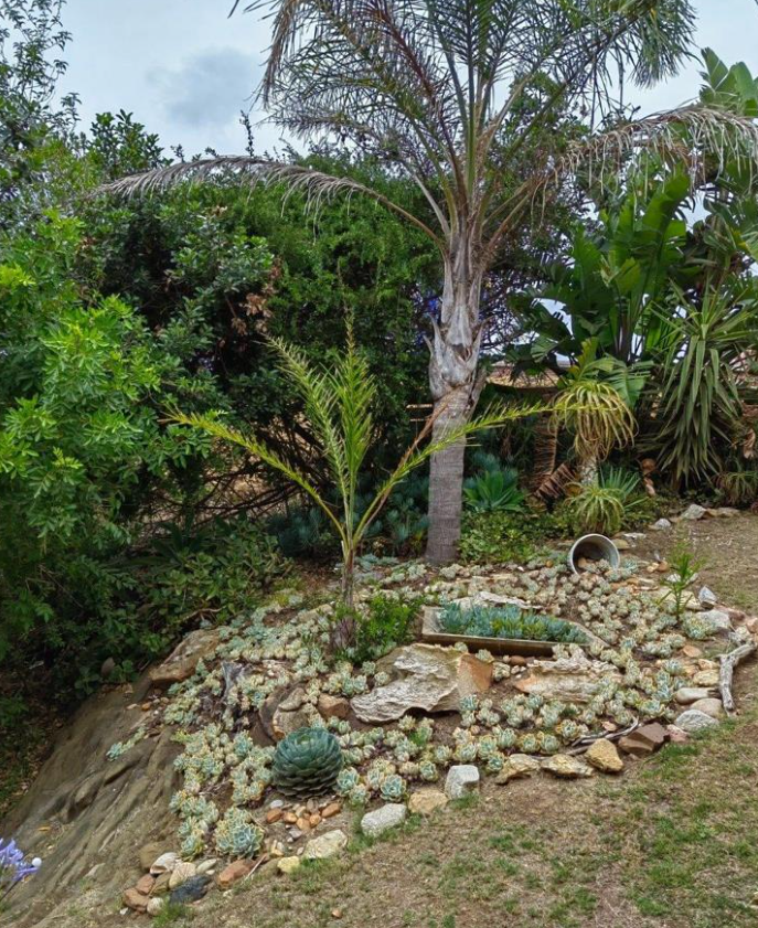 3 Bedroom Property for Sale in Noorsekloof Eastern Cape